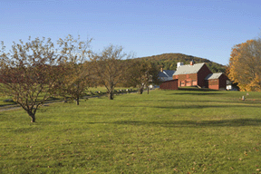 Vienna Cemetery Road